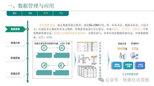 企業(yè)數(shù)字化轉型總體規(guī)劃與實踐 數(shù)據(jù)驅動未來