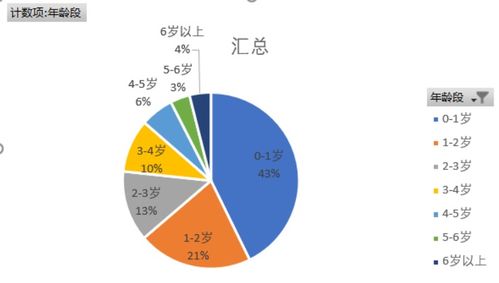 孕嬰產(chǎn)品數(shù)據(jù)分析中的數(shù)據(jù)清洗與處理關鍵技術